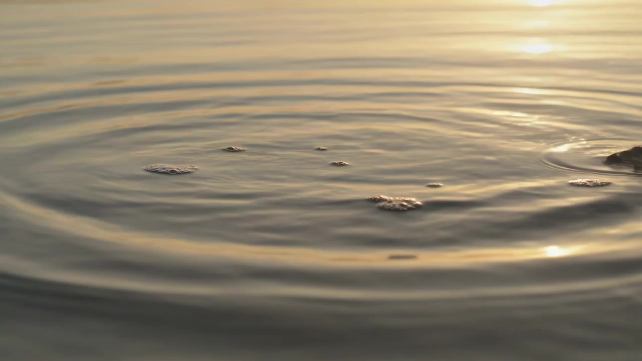 Creando increspature concentriche, la superficie calma dell'acqua si espande verso l'esterno al bordo dello stagno dopo il contatto con la mano.
