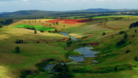 aerial view of creeks and vibrant fields in atherton tablelands region, queensland, australia - drone shot