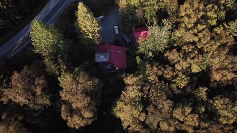 little cabin in the forest in alaska