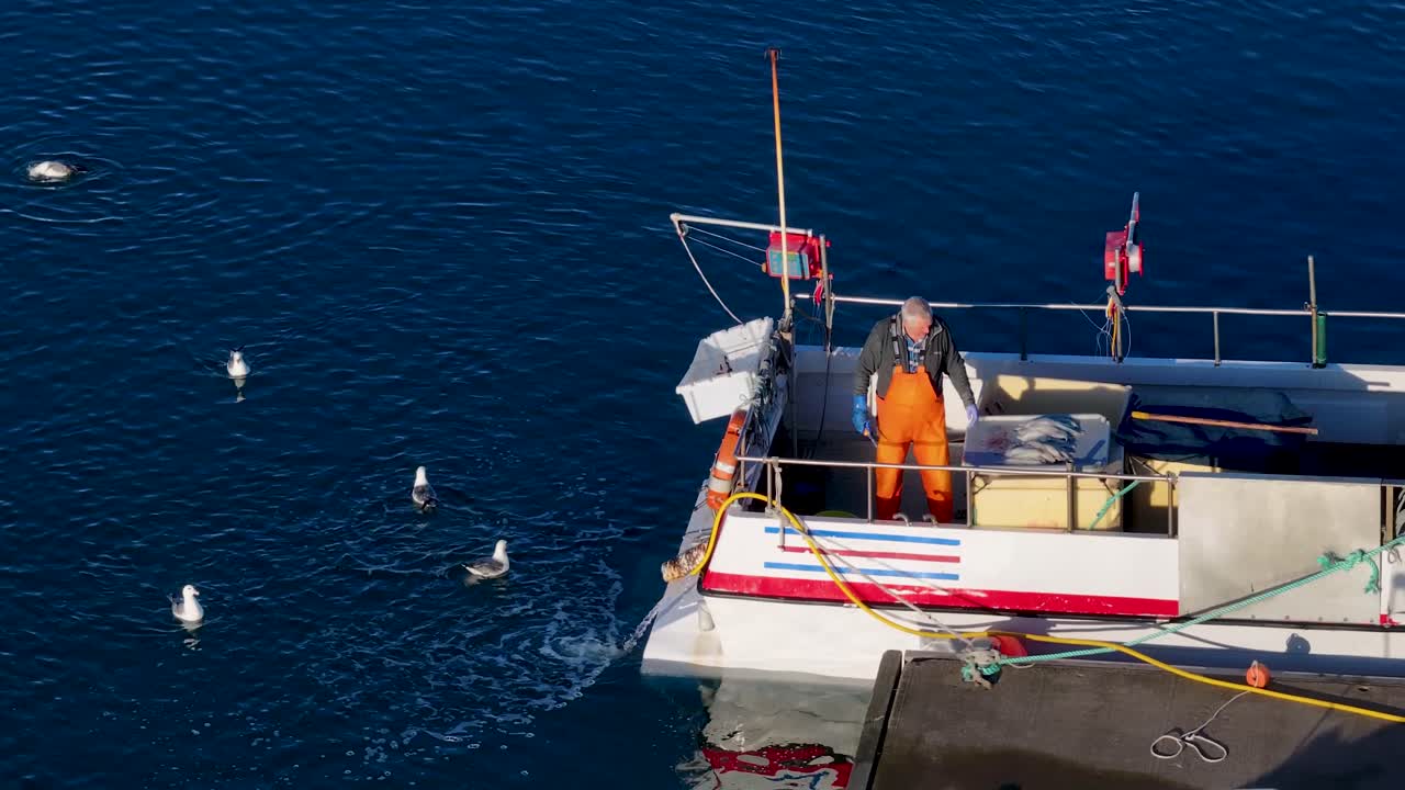 A captivating aerial photograph capturing a man feeding fish to seagulls, the City and Harbor of Hofn.