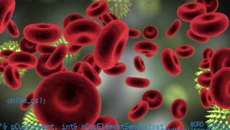 Red-blood-cells-and-bacterial-cells