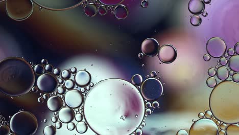 abstract colorful food oil drops bubbles and spheres flowing