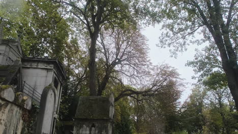 lateral tracking in a wooded part of the pere lachaise cemetary