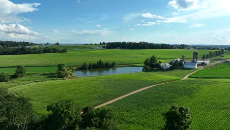 Granja-Familiar-En-La-América-Rural-1