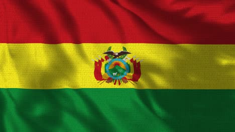 realista 4k - 30 fps bandera de la bolivia