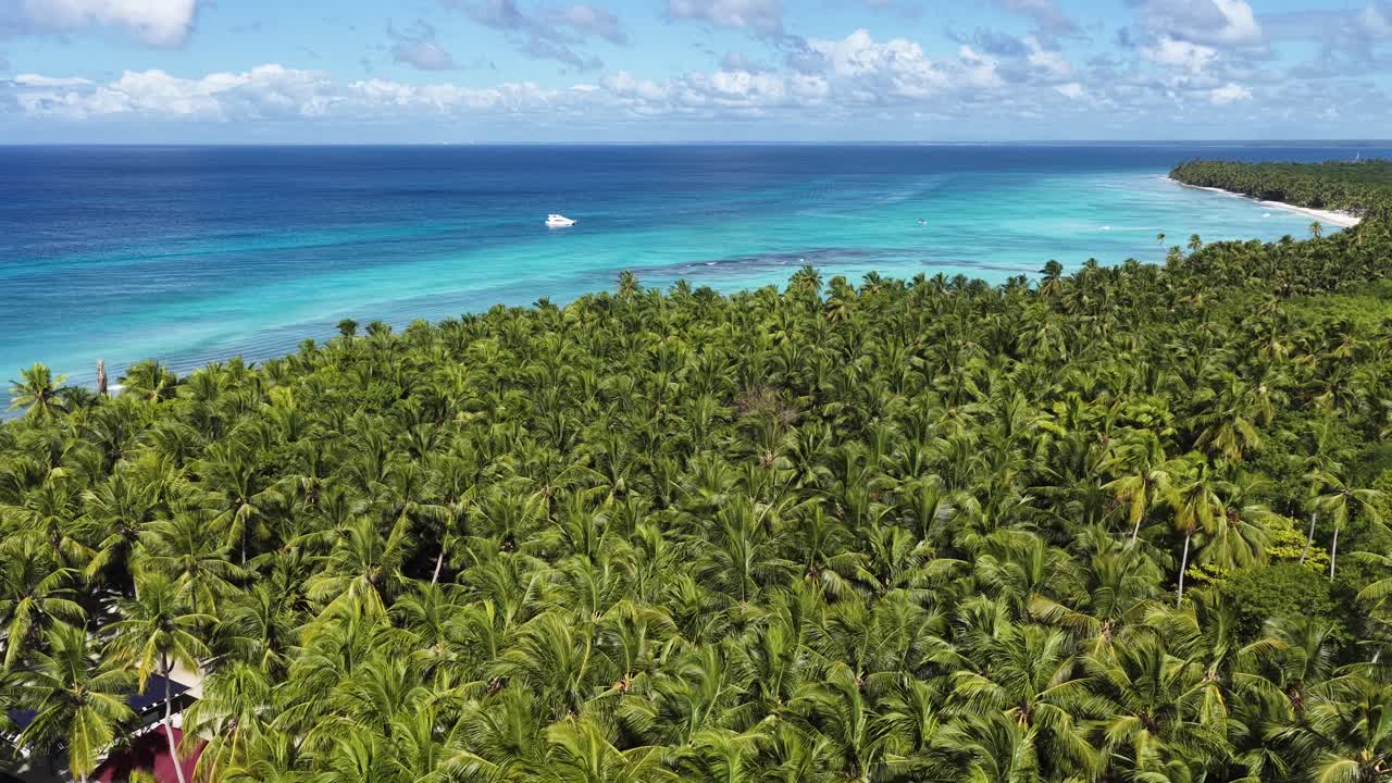 Saona Island ved Punta Cana i La Altagracia, Den Dominikanske Republik. Strandlandskab. Blå nuancer i akvarel. Rejsedestination. Saona Island i Punta Cana, Den Dominikanske Republik. Hvid sandstrand i naturen.