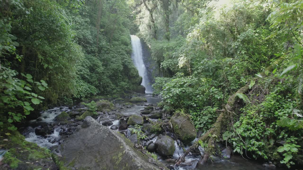 cascada de la selva en costa rica