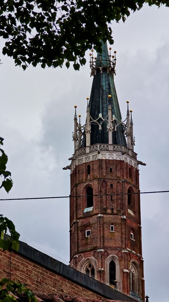 Ornate spire of St. Martin’s Church rises behind treetops in Landshut, Germany, vertical closeup