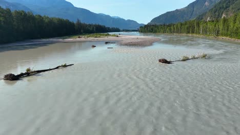 squamish river on a sunny summer day