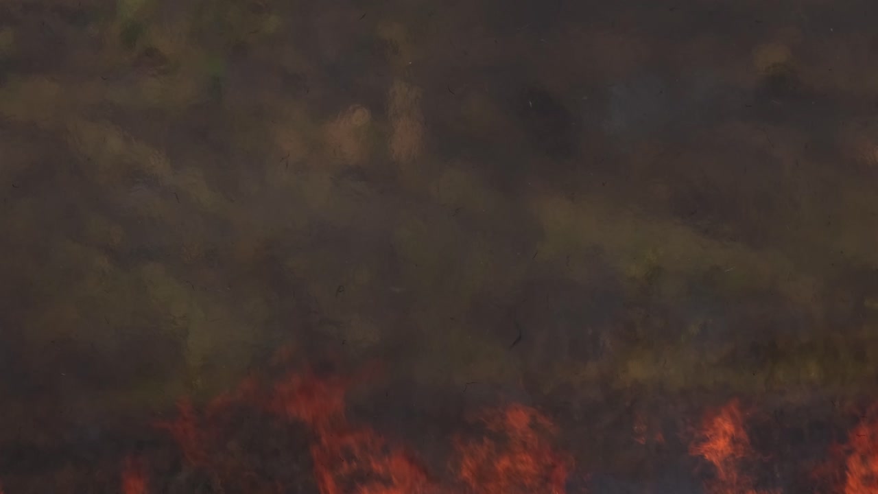 fuego creando grandes llamas haciendo la atmósfera tan caliente y humeante, controlado o prescrito quemar, tailandia