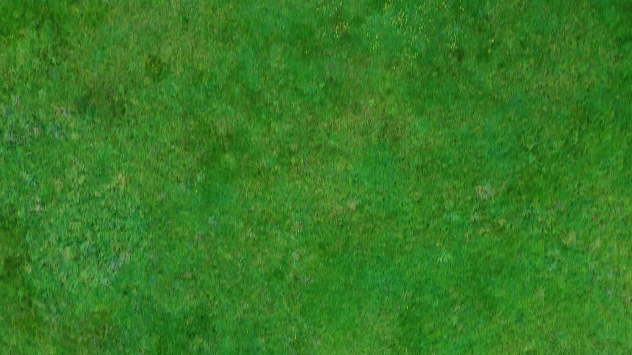 toma aérea de drones de arriba hacia abajo de campos verdes exuberantes en inglaterra 4k