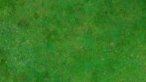 top down aerial drone shot of lush green fields in england 4k