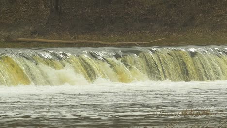 Vimba-fish-in-Kuldiga,-medium-slow-motion-shot-from-the-distance