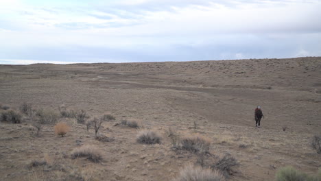 lonely female hiker with a backpack walking in dry desert landscape under cloudy sky