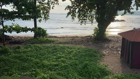 Establishing-Handheld-Static-Shot-Looking-Out-to-Sea-at-Golden-Hour-Morning-in-Galle-with-Trees-and-Sandy-Beach