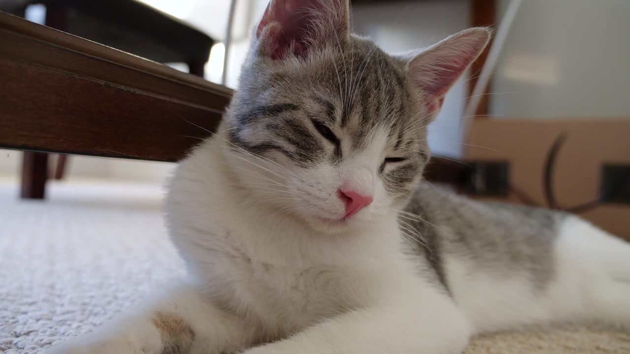 슬픔 절망 무기력 상처 상처 약점 피로 졸음