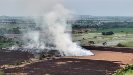 Drohnenschuss-Brandrodung-Feld-Horizont-Landwirtschaft-Ecuador-Reisfeld