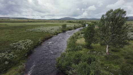 Low-river-flight:-Wild-riparian-landscape-in-Spekdalen-wilderness,-NOR