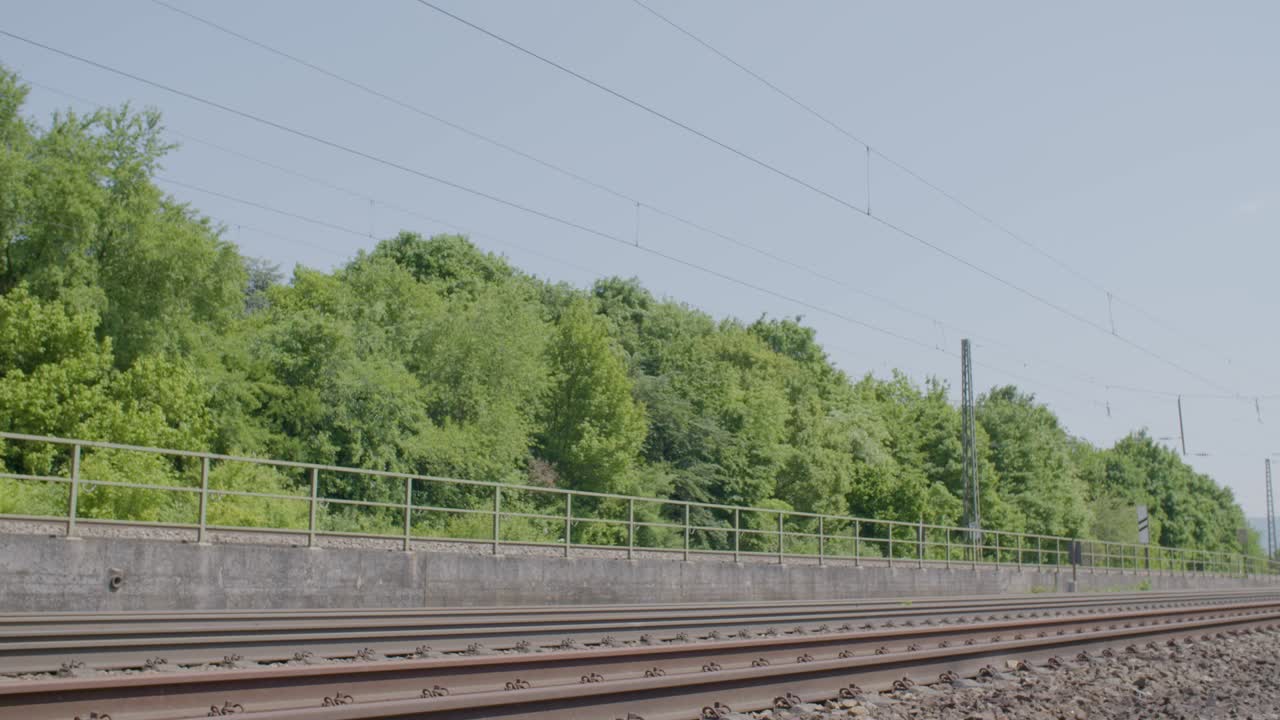 Train Tracks Through Lush Green Forest