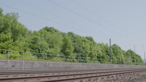 train tracks through lush green forest