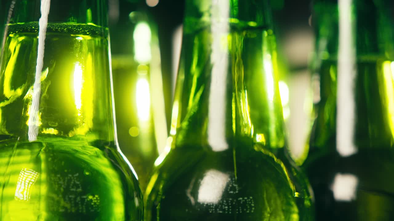 Row of beer bottles in fridge, shop or hotel, cold lager craft german beer or cider, shop supermarket or wine cooler close up.
