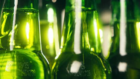 row of beer bottles in fridge, shop or hotel, cold lager craft german beer or cider, shop supermarket or wine cooler close up.