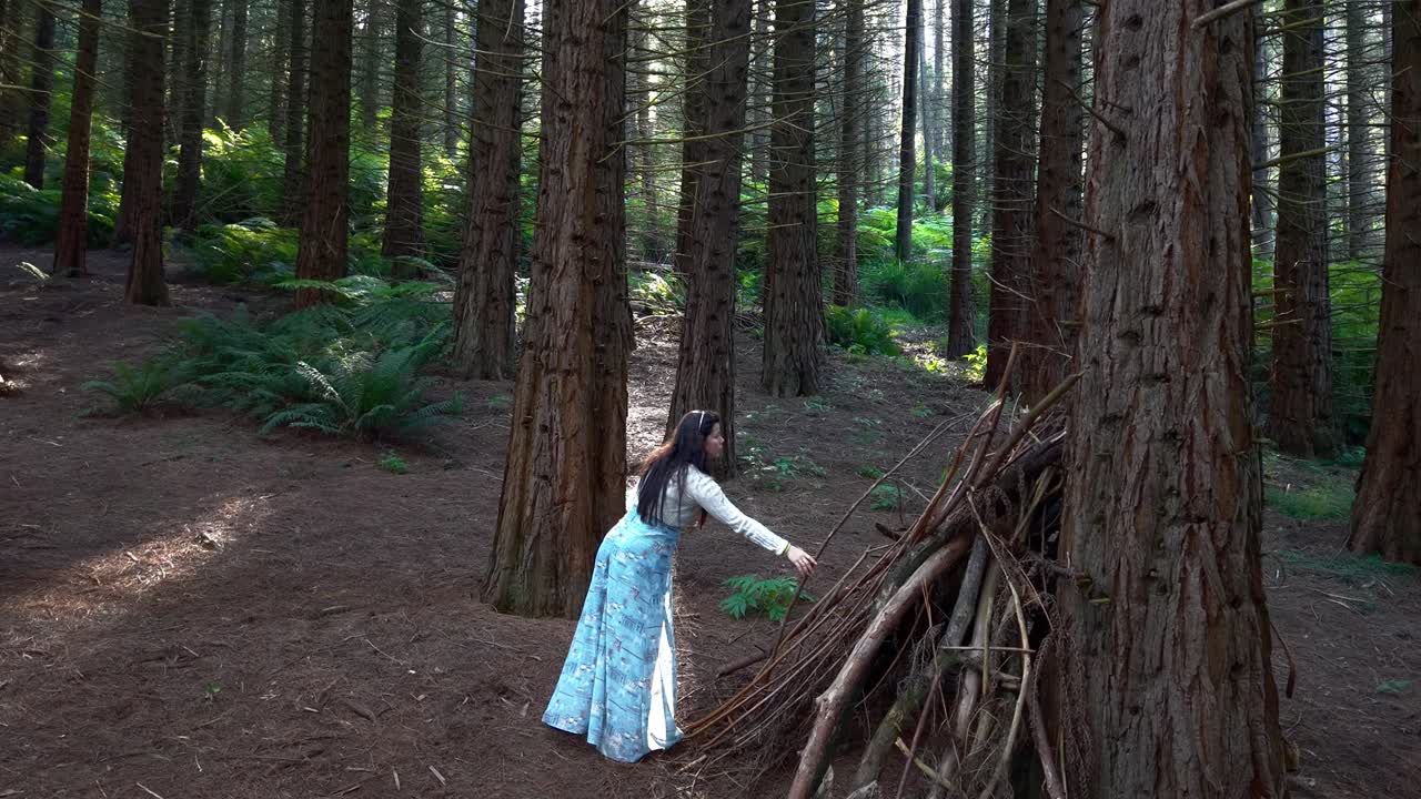 Una donna in una foresta tranquilla costruisce una capanna di legno. La luce del sole filtra attraverso alberi alti, creando un'atmosfera serena e pacifica. Splendida scena naturale con illuminazione soffusa