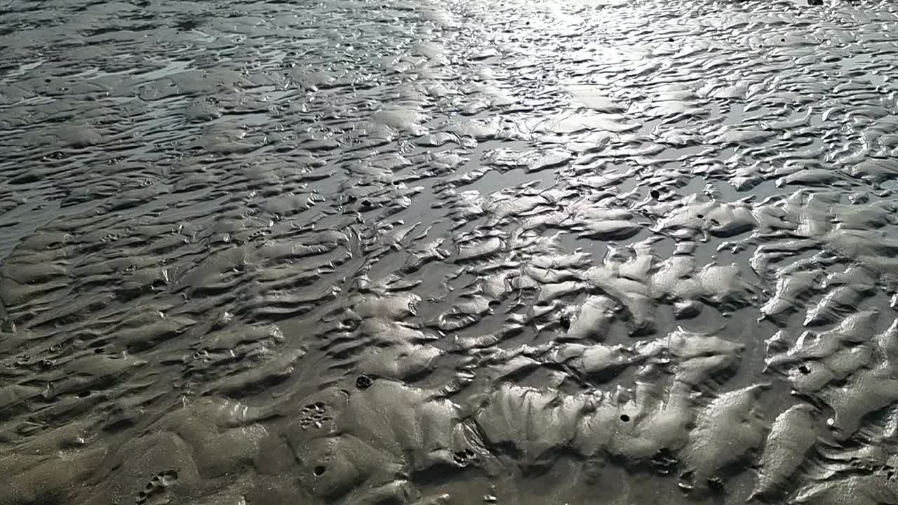 Sunlit low tide beach sand ridges shimmering in the evening sunset sunlight