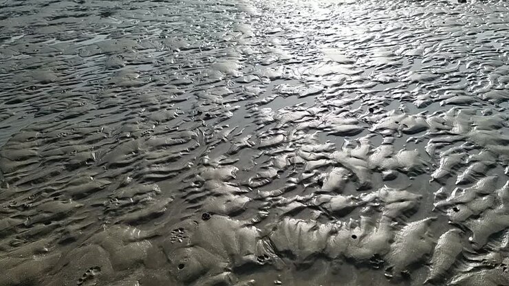 Sunlit low tide beach sand ridges shimmering in the evening sunset sunlight