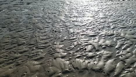 Sonnenbeschienene-Sandkämme-Am-Strand-Bei-Ebbe,-Die-Im-Abendsonnenlicht-Schimmern