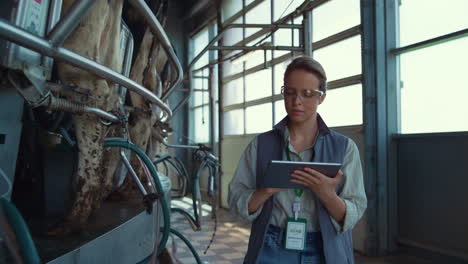 worker walk milking parlour at dairy facility. woman inspect suction machinery.