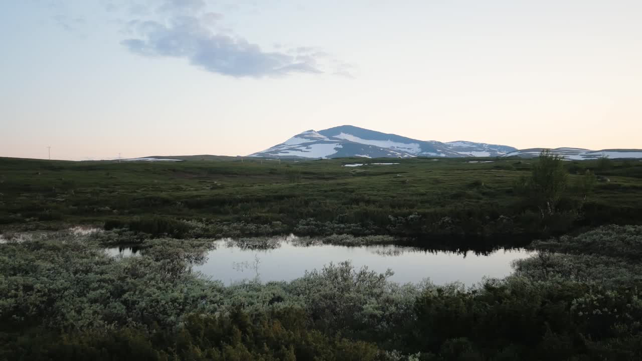 Wildflowers Around The Stream In Jamtlandstriangeln With A View Of Swedish Mountains In Jamtland. aerial