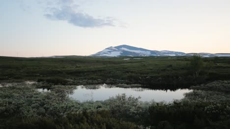 Wildflowers Around The Stream In Jamtlandstriangeln With A View Of Swedish Mountains In Jamtland. aerial
