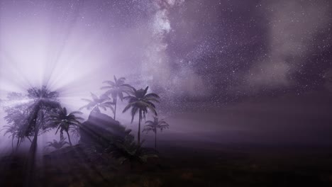 la galaxia de la vía láctea sobre la selva tropical.