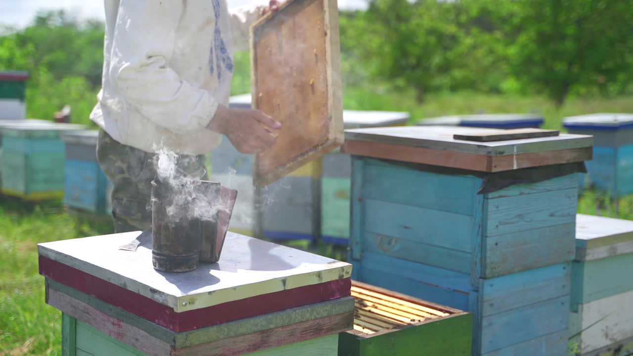 Beekeeper inspects beehive. Man apiculturist working with smoker and hives on apiary in summer. Beekeeping concept.