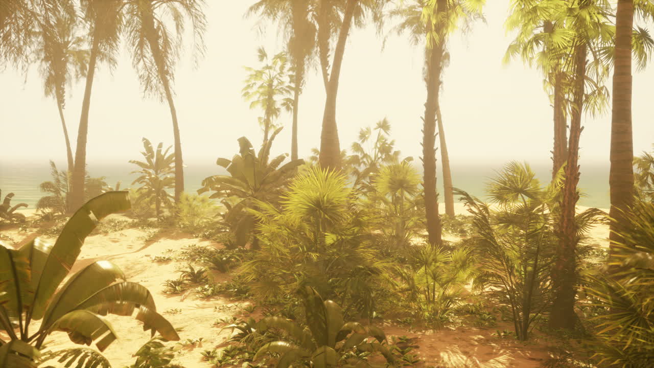 una vista de una playa con palmeras y el océano en el fondo
