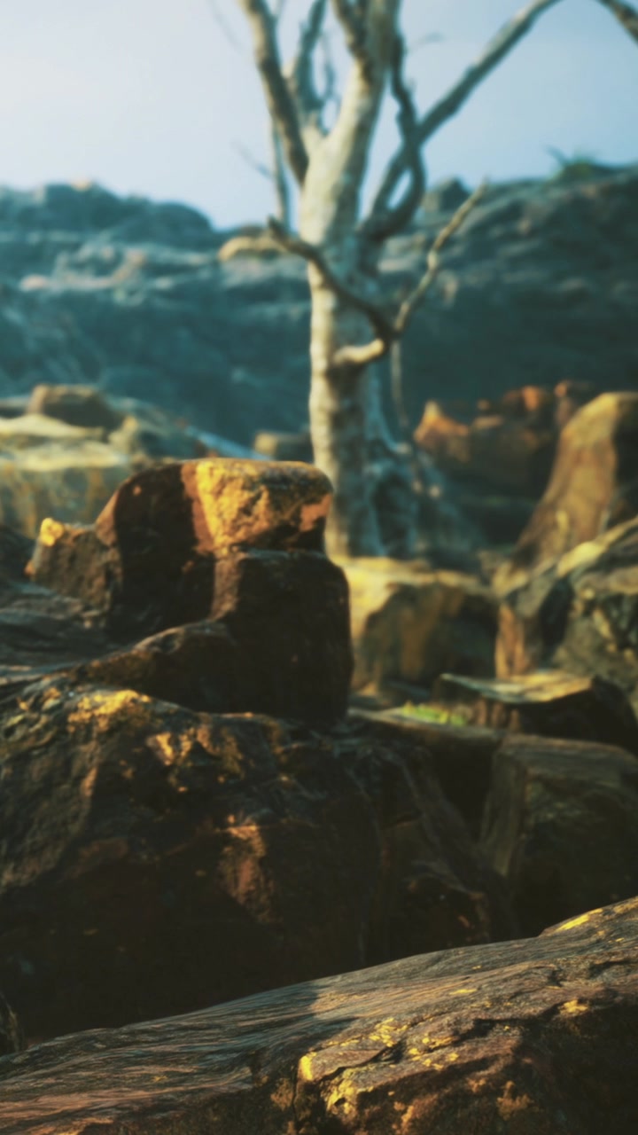 Rocky landscape with trees and nature scene during daylight hours