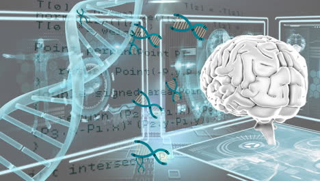 animación de datos cerebrales, de adn y anatómicos en pantallas digitales