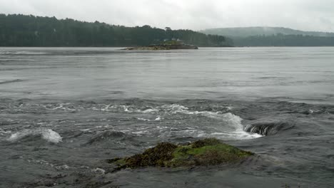 Wasserfälle-Fallen-über-Kleine-Felsvorsprünge-Von-Reversing-Falls,-Maine