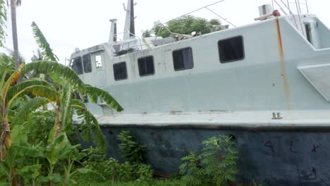 amongst vegetation and near buildings memorial vessels lay dormant