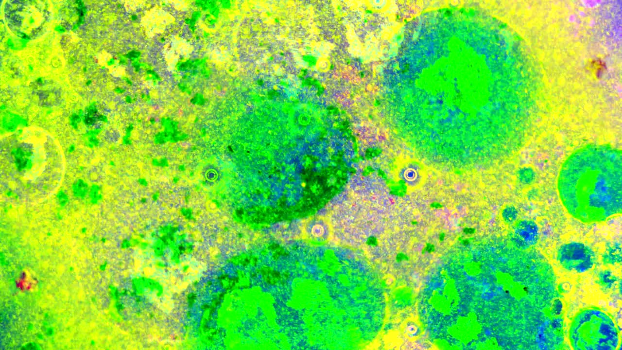 el rizado de las pinturas