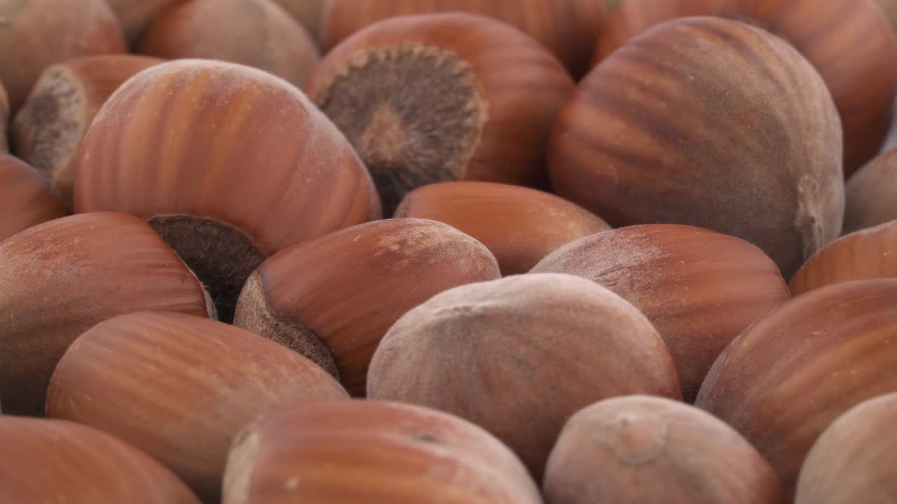 Full frame heap of shelled hazelnuts slowly rotating on the turntable, isolated on the white background. Close-up. Macro.