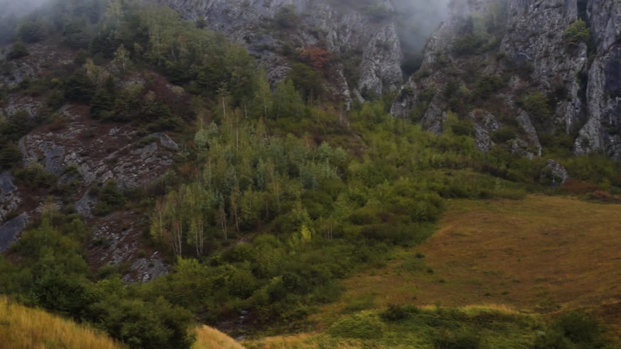 Foggy Moody Cloudy Mountain Field Switzerland