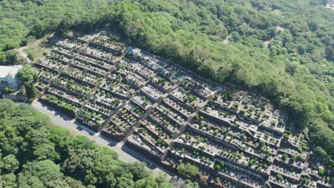 a traditional cemetery in taiwan with rows of graves amidst greenery, aerial