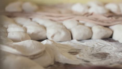 village baker cooking naan, oven baked flat bread.