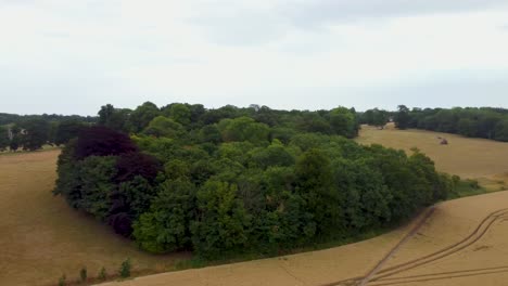 aerial 360 of a wheat field in nonington