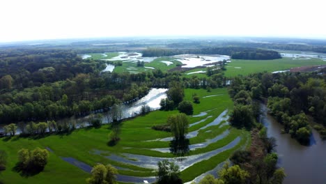 scenic nature landscape with river and wetlands at the march-thaya-auen protected area in austria