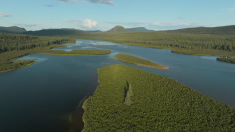 breathtaking aerial view of a large body of water in the vast newfoundland and labrador wilderness, canada