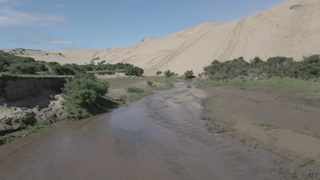 Cerca-Del-Suelo-Toma-Aérea-Del-Río-En-Llani,-Chile-Donde-Las-Dunas-De-Arena-Se-Encuentran-Con-Los-Pastizales