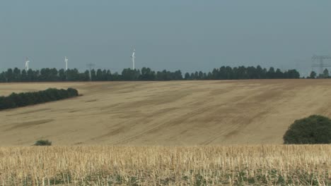 Pan-Shot-Sobre-Magdeburger-Börde-Después-De-La-Cosecha-De-Trigo,-Alemania